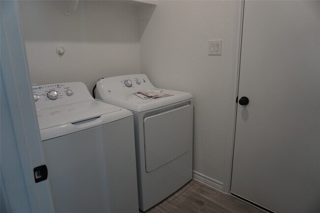 Photo - 9761 Black Gum