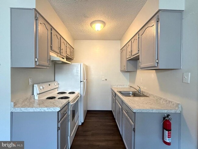 Building Photo - 317 Bridge St Unit 6 Rental
