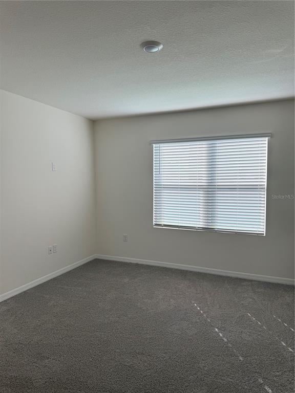 Photo - 7117 Cattle Egret Dr