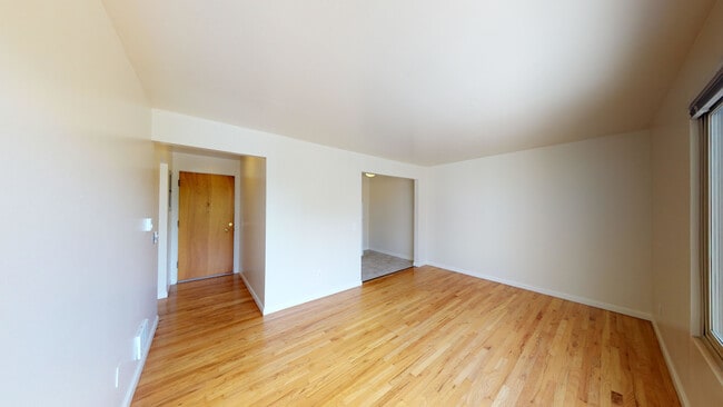 Photo - TB Twin Birches