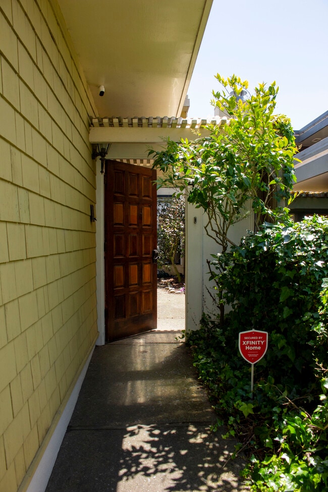 front walk way leads to court yard - 49 Amethyst Way