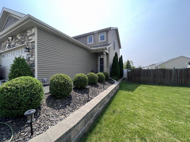 Photo - 207 Tickseed