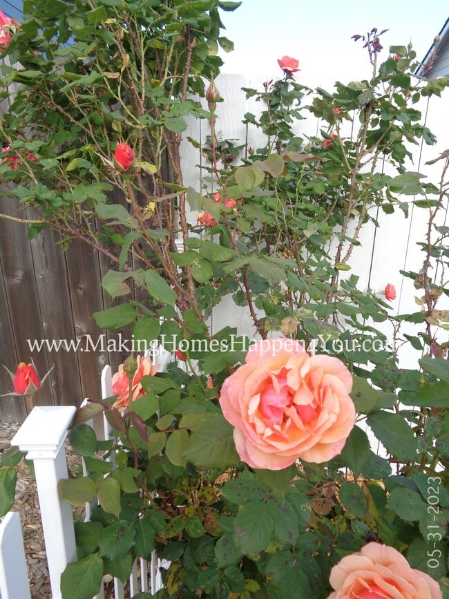 Photo - 405 Lavender St