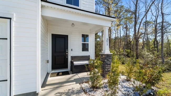 293 Lillian St