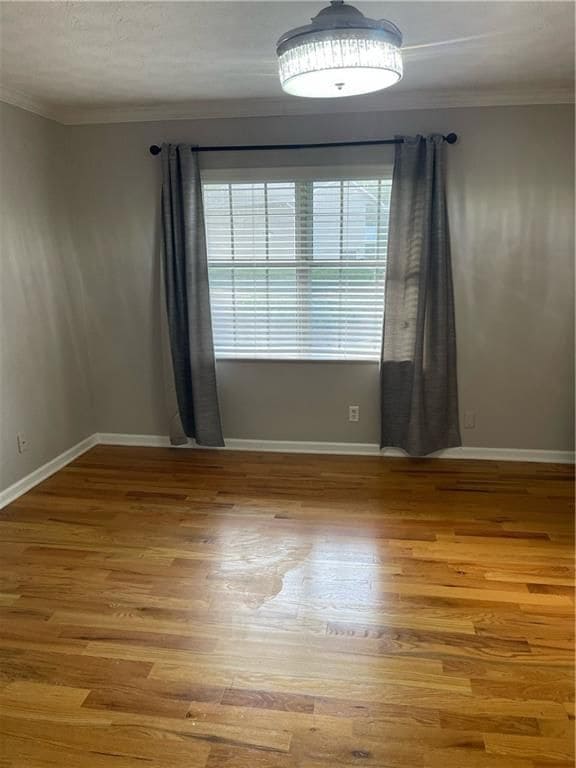 Photo - 407 Northdale Ct