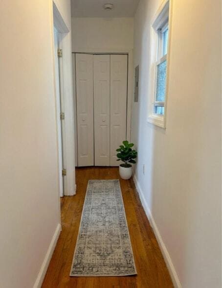 Photo - 35 Stegman St