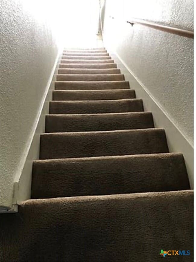 Photo - 3803 Ys Pak Ct