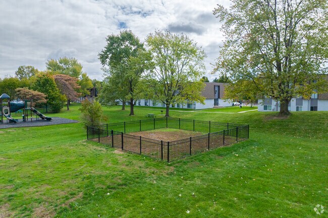 Dog Park