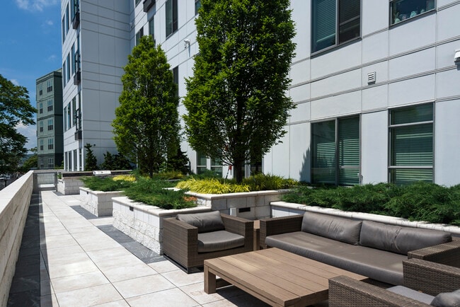 Luxe at Alewife