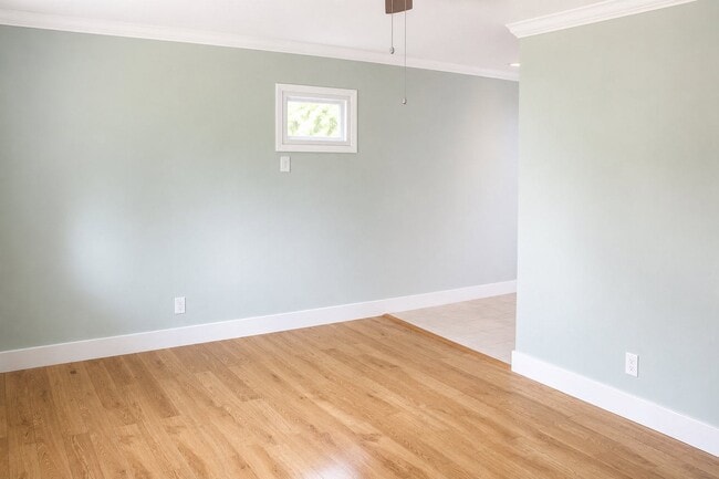Photo - 241 Sycamore Rd