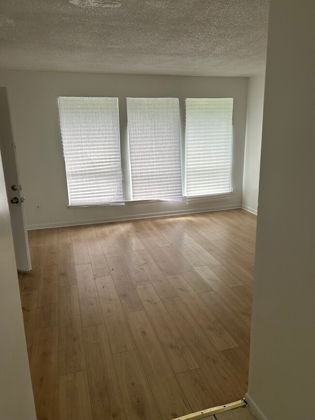 Photo - Martin Manor