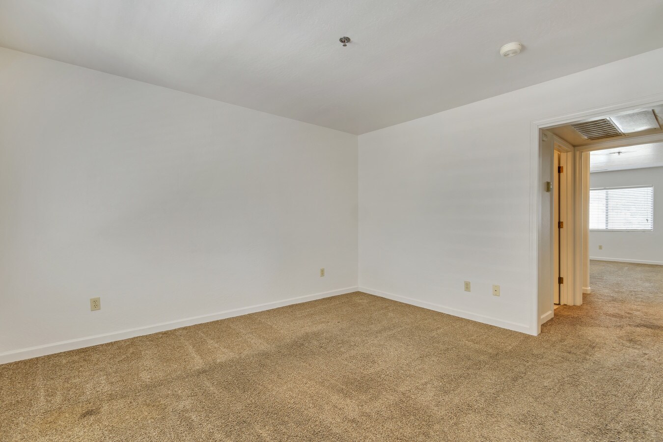 Photo - Hillside Creek