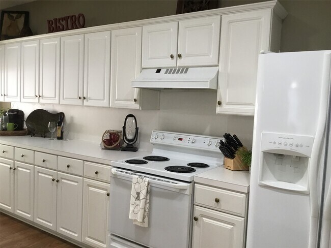 Photo - 3 N Spiral Vine Cir