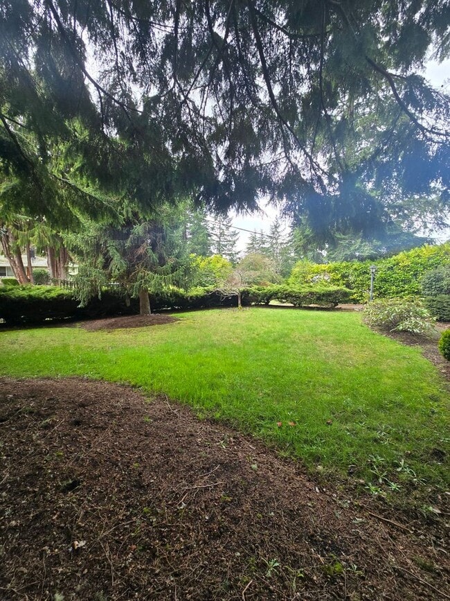 Photo - Beautiful 3 bedroom on large lot.