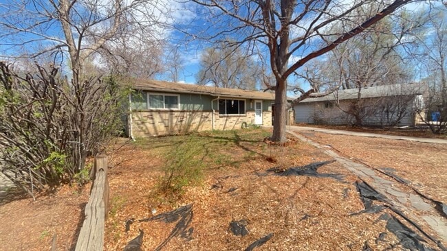 Photo - 2 Bedroom Bungalow in Fort Collins!