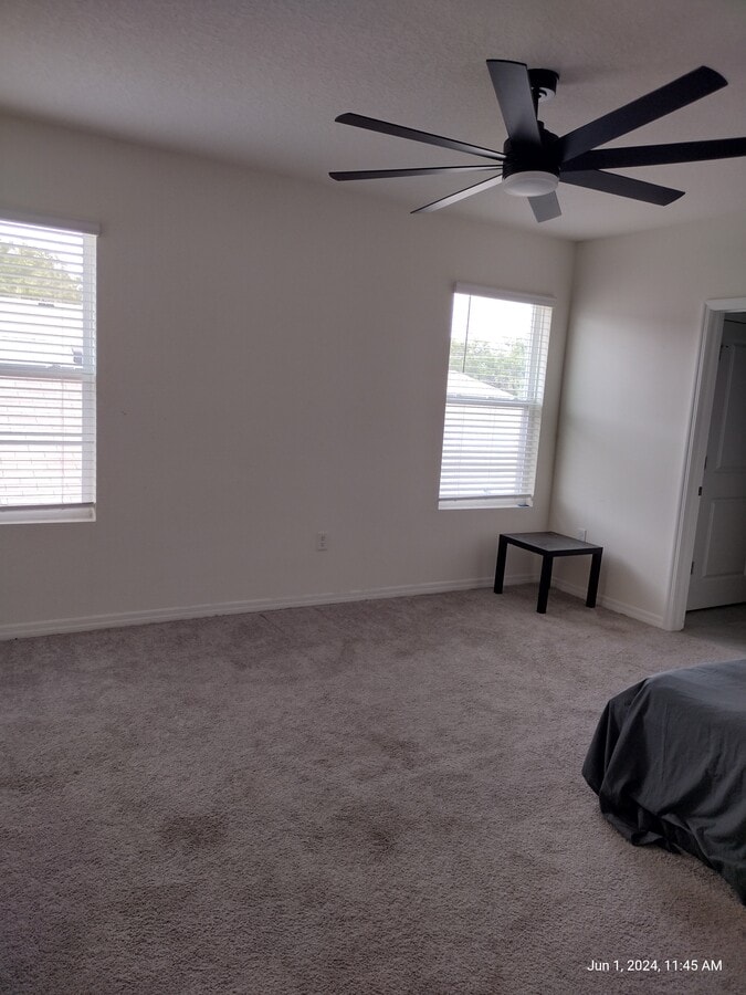 Photo - 10857 Trailing Vine Dr