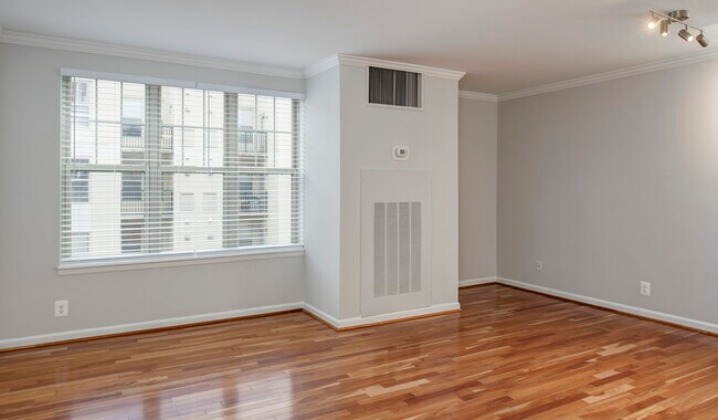 Large living areas with natural lighting