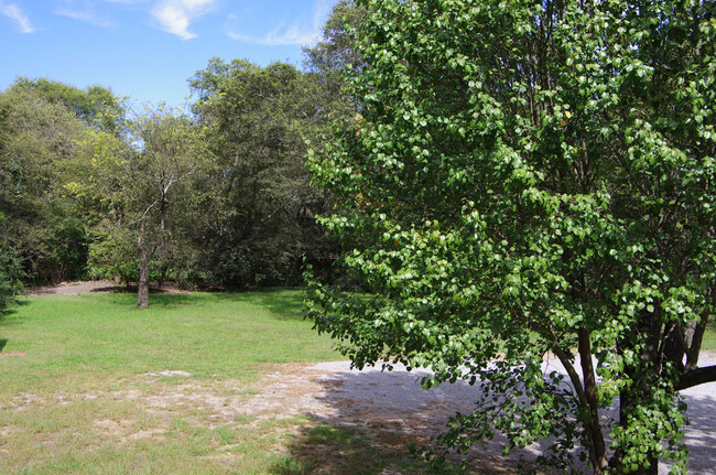 Back Yard - 257 Madison Blvd Townhome