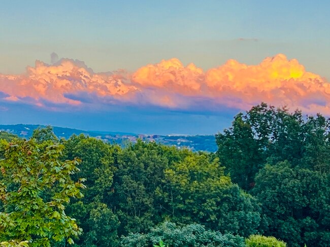 Photo - 37B Timrod Dr