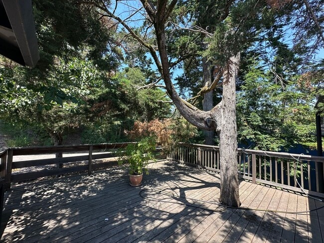 Expansive House in the Monclair Village, Q... - Expansive House in the Monclair Village, Q...