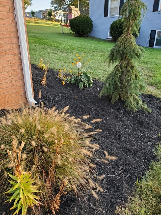 Landscaping - 621 Broadview Dr