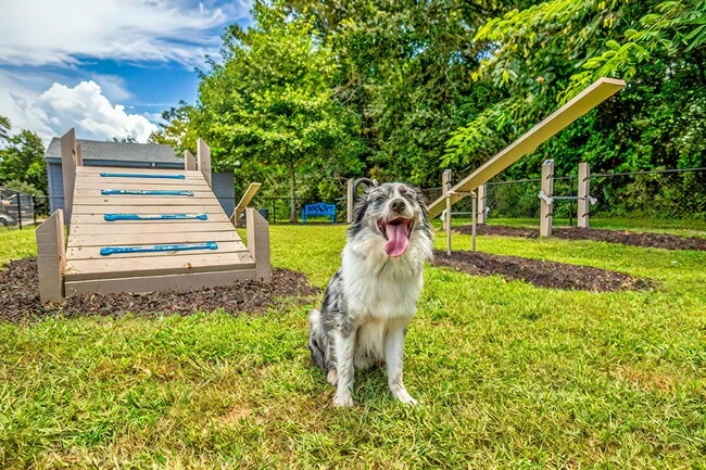 Photo - The Sound at Saint Martin