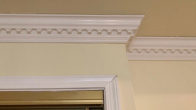 Molding all thur condo - 3326 Woodburn Village Dr Unit 24