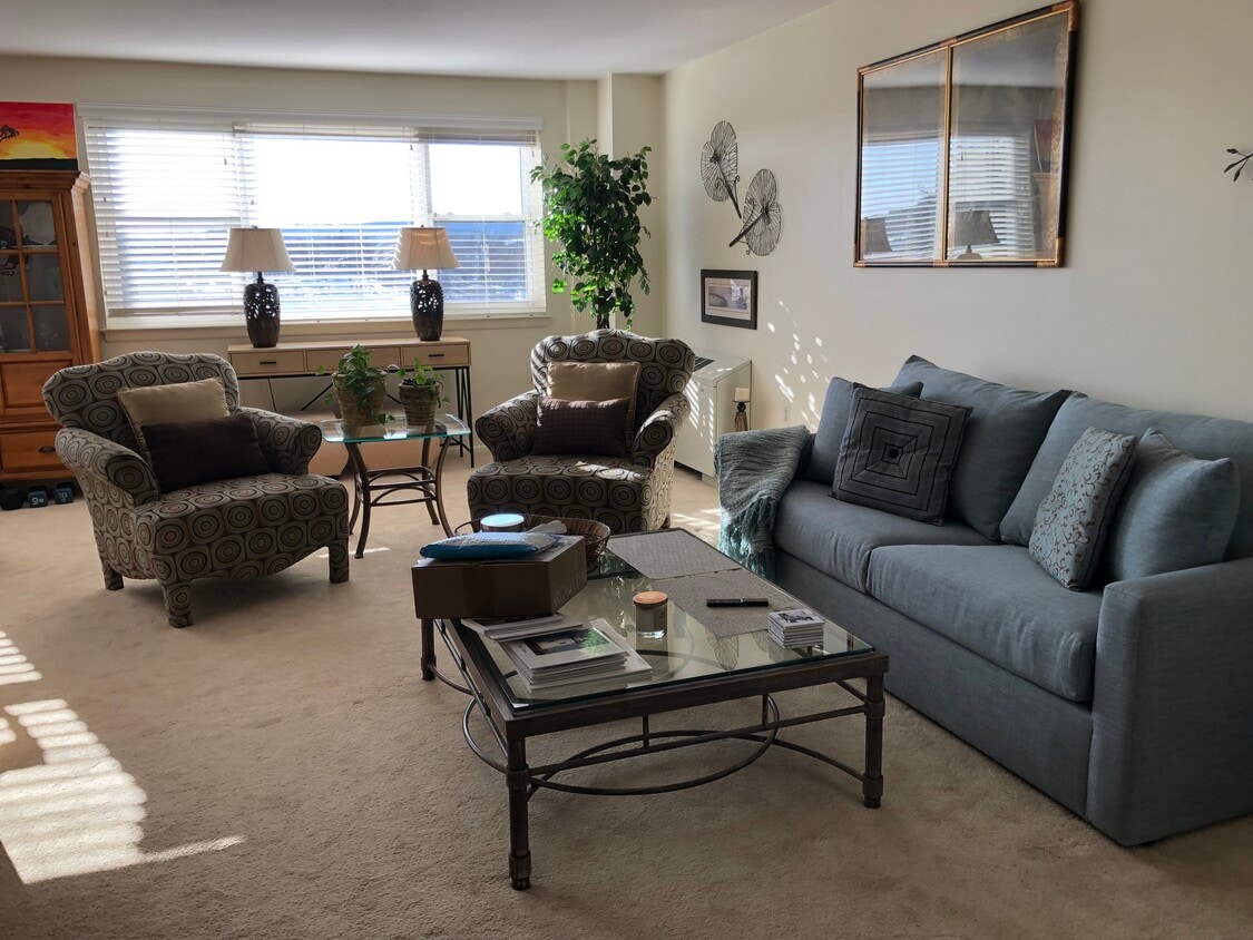 Living Room w/ sleeper sofa - 893 Farmington Ave (West Hartford, CT)