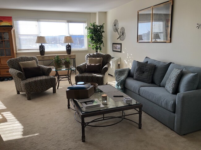 Living Room w/ sleeper sofa - 893 Farmington Ave Condo Unit 4F