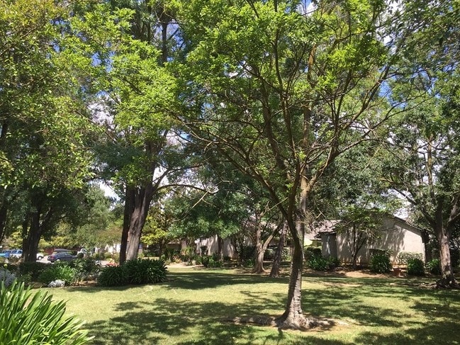 Photo - Valley Oak Apartments - 55 years+