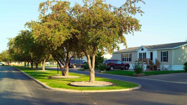 Photo - Timber Ridge