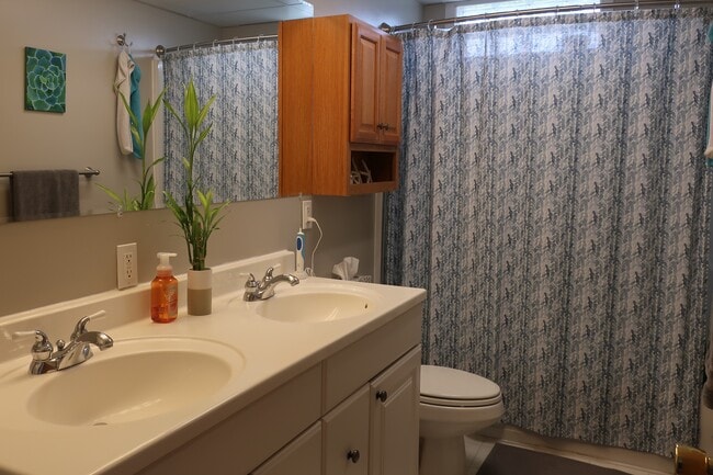 Walnut Knoll Apartments