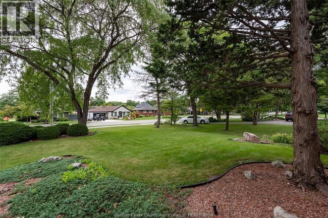 Photo - 398 Brighton Rd
