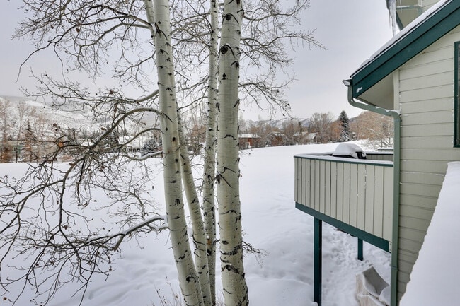 Photo - 282 Elk Ln Unit ID1383669P