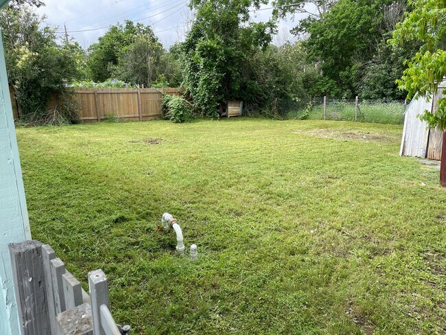 Backyard - 703 Mockingbird Ln