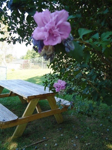 Photo - Nottingham North Apartments