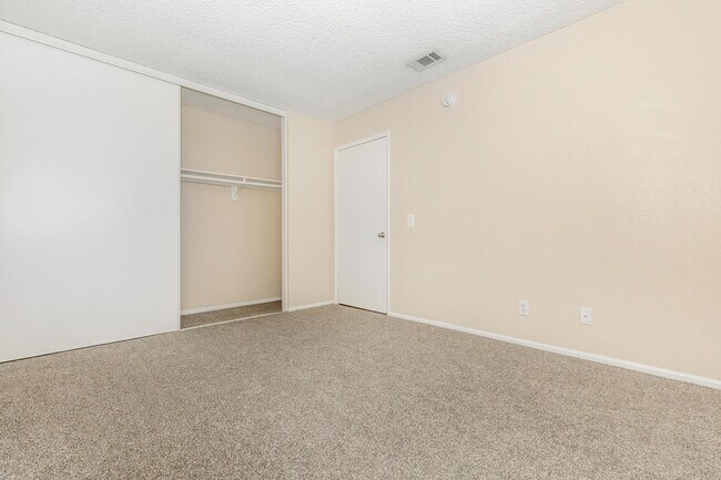 PLUSH CARPETING