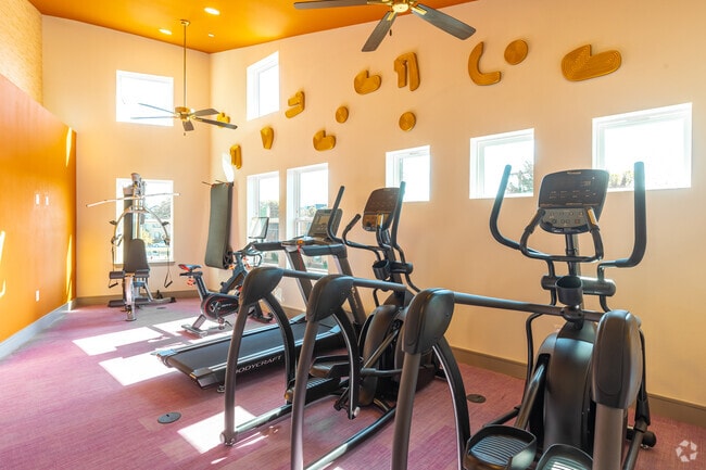 Gimnasio - Jaipur Lofts