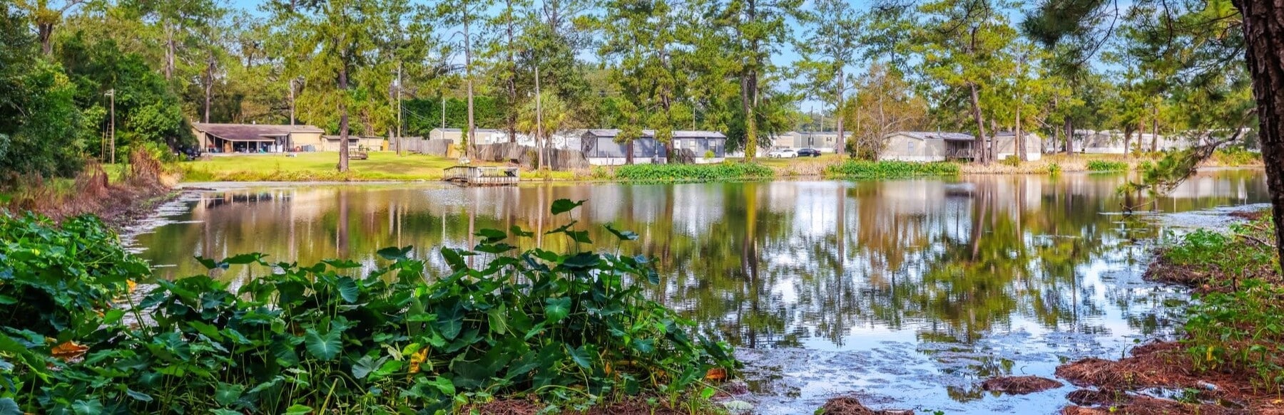 Pinetree Place - Pinetree Place Homes