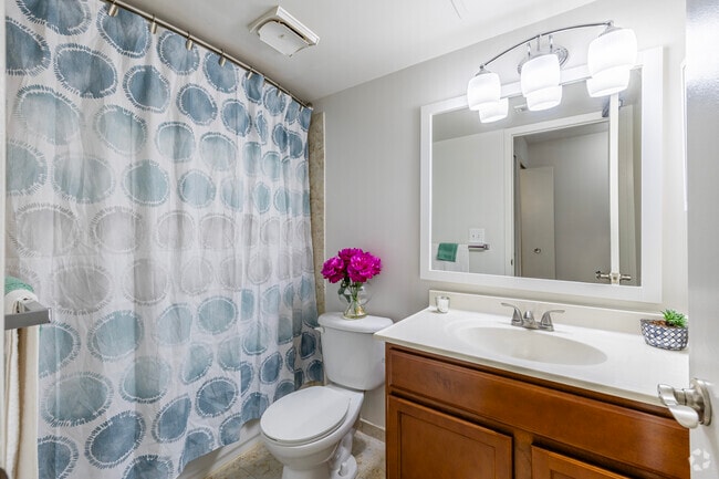 1BD, 1BA - 700SF - Bathroom