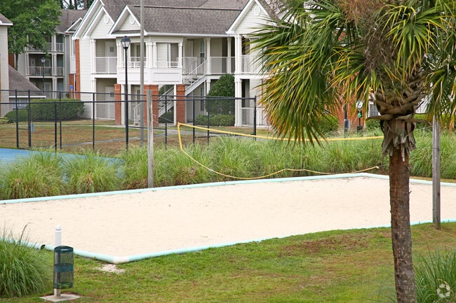 Full Size Volleyball Court