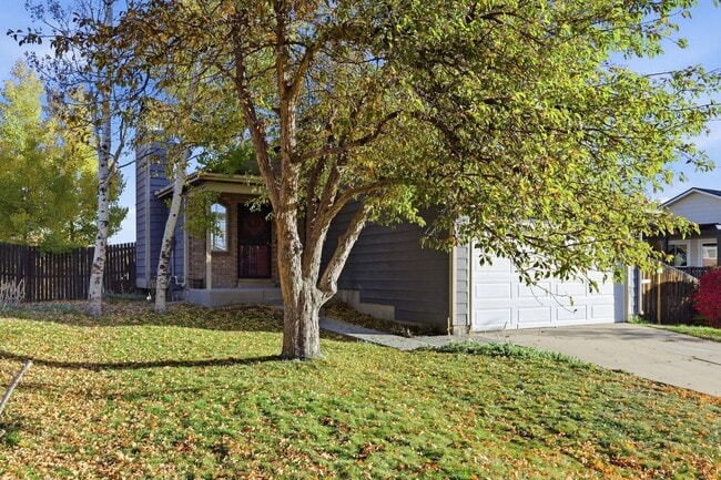 Photo - 3 bed 2 1/2 bath Split level home in Found...