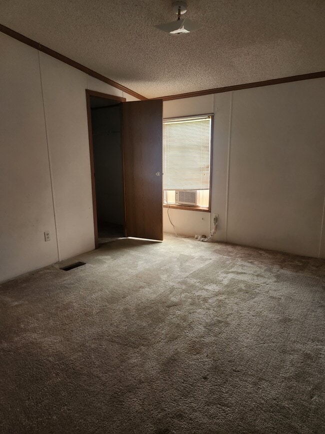 Photo - 124 Phillips St