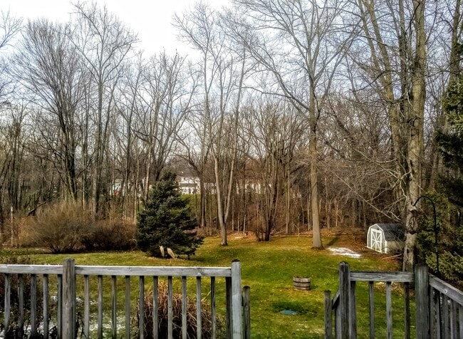 Wooded backyard - 16351 Petro Dr