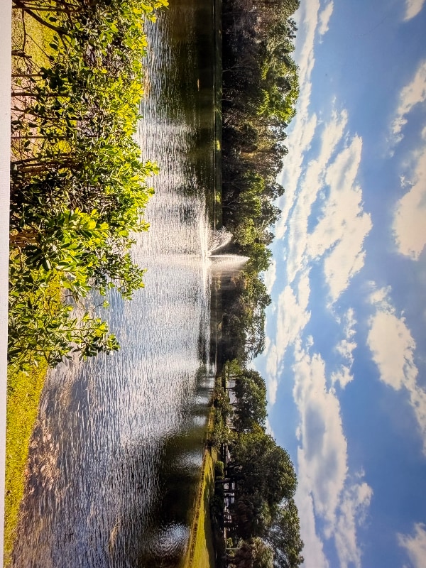 Photo - 900 Crestwood Ct S Unit 907