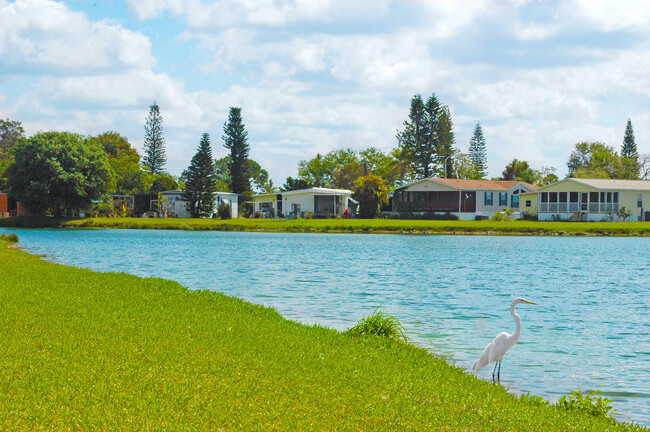 Island Vista Estates - Island Vista Estates Apartments