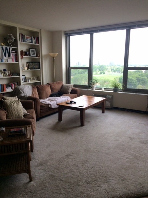 Building Photo - 1550 N Lake Shore Dr Unit 10E Rental