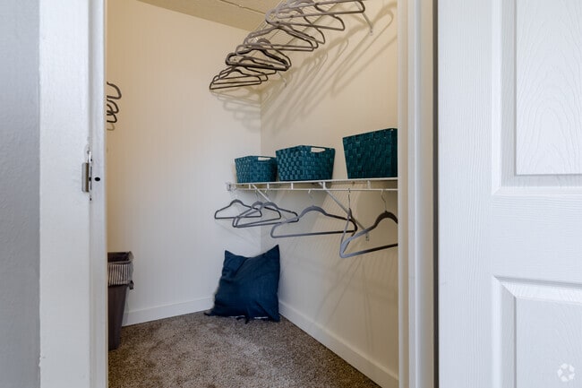 1BR, 1BA - Closet
