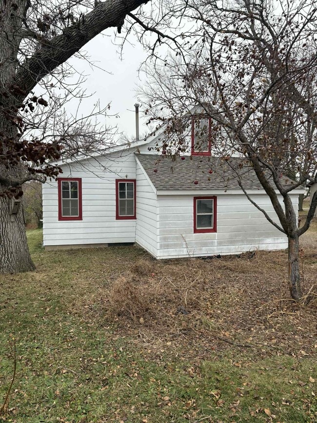 Back of House - 259 Elizabeth St