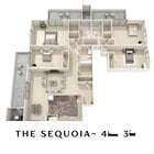 The Sequoia